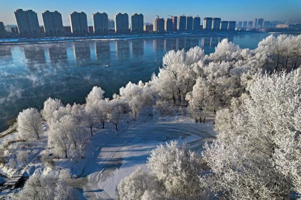 In Jilin city, rime ice dazzles