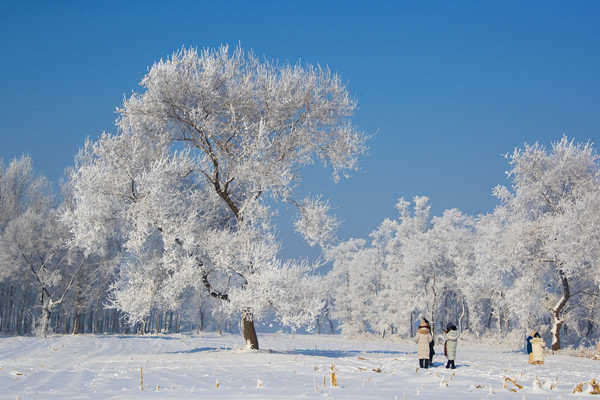 Holiday tourists have a blast in Jilin city 