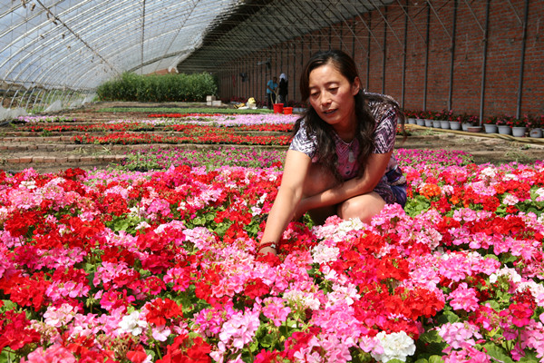 Jilin deputy focuses on rural vitalization 