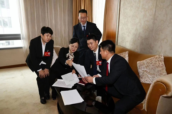 Jilin deputy focuses on strategic emerging industries 