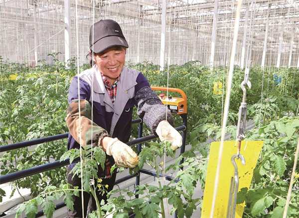 Jilin speeds up development of modern industry 