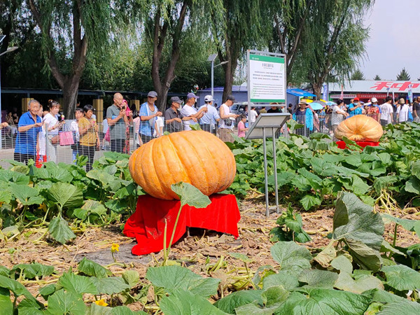 Intl agriculture, food expo opens in Jilin 