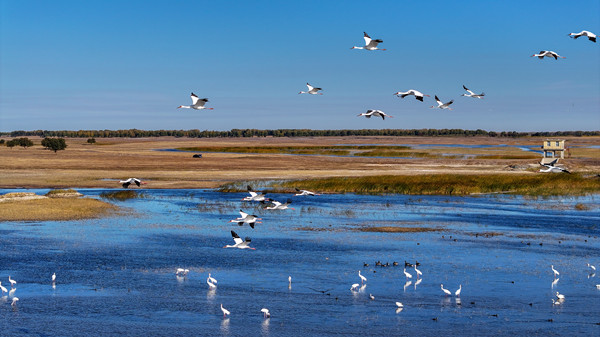 In pics: The tranquil beauty of Sihai Lake in autumn