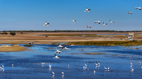 In pics: The tranquil beauty of Sihai Lake in autumn