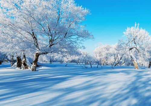 Jilin Rime Island thrills with frosty spectacle 