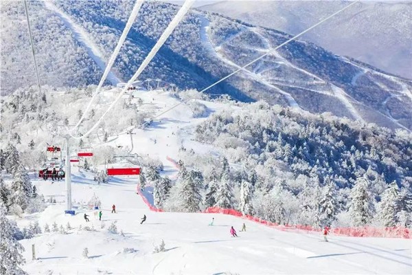 World Ice and Snow Economy Conference returns to Jilin 