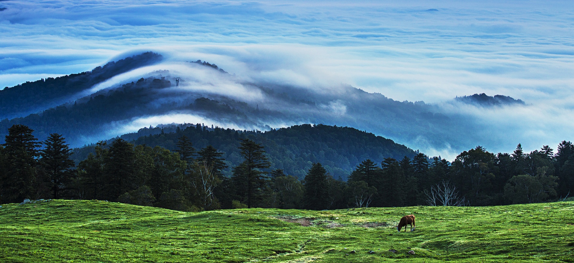 Jilin launches autumn tourism campaign