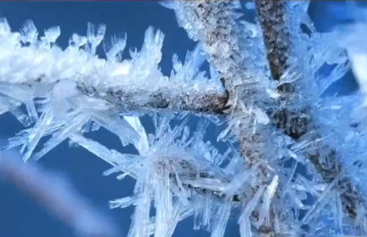 Changchun's brilliant ice, snow sector