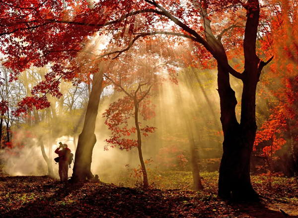 See Jilin's kaleidoscopic autumn beauty in pictures