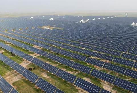 Innovative solar-grazing project boosts green energy, agriculture in Jilin village
