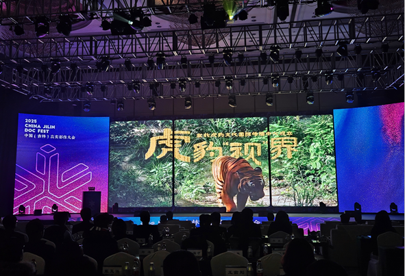 Northeast China's wildlife wonders: Tigers, leopards, and global stories 
