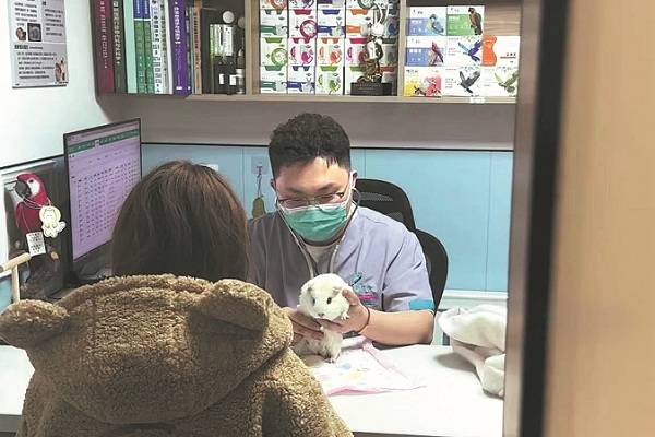 Exotic pet vet relishes talk with animals