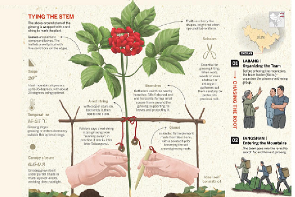 Treasure from the mountain