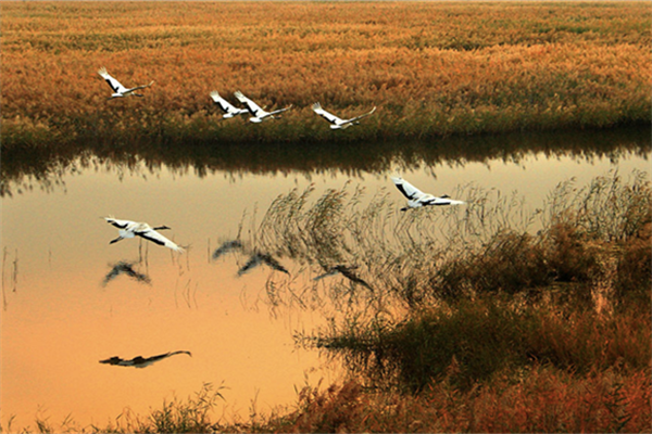 Xianghai Nature Reserve.png