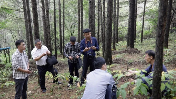baishan_副本.jpg