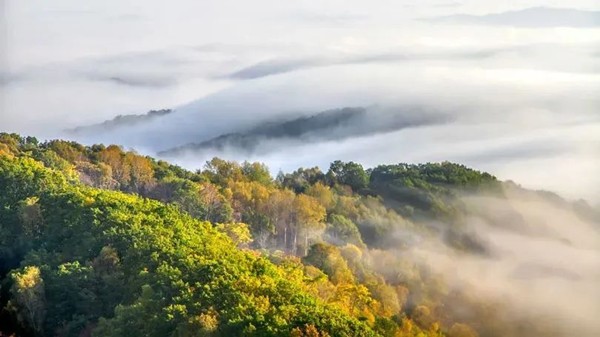 白山.jpg