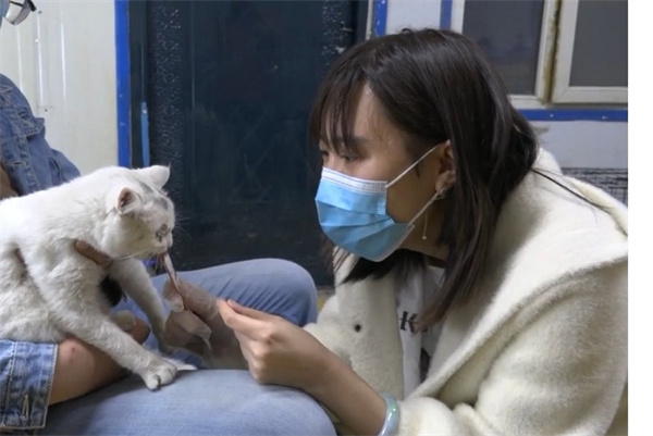 长春-news-Animal lover sets up shelter on shoe-string budget-2.jpg