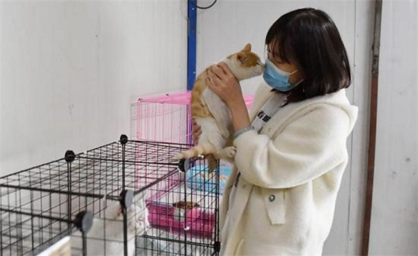 长春-news-Animal lover sets up shelter on shoe-string budget-1.jpg