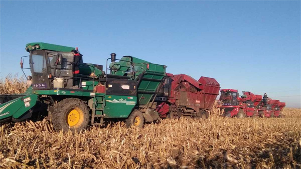 长春-news-Farmers make good use of crushed maize straw.jpg