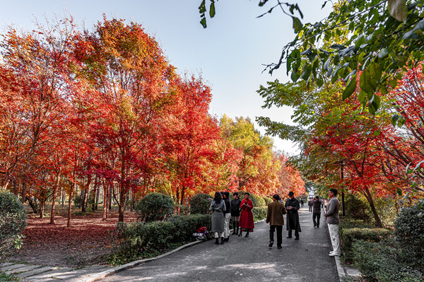 VCG111353067021_副本.jpg