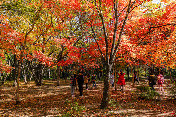 VCG111353066986_副本.jpg
