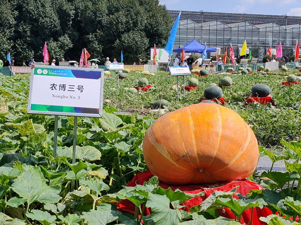 IMG20240816101515_副本.jpg