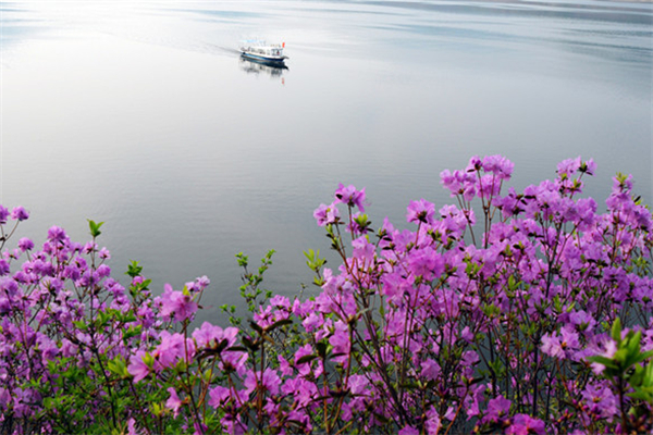 Songhua Lake Scenic Area-2.jpeg