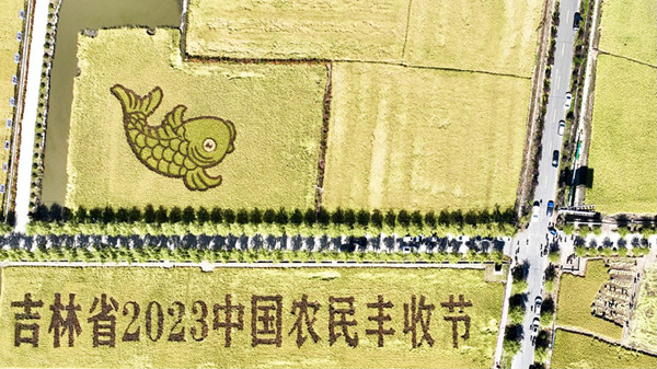 650fa781a310d2dc6d286861_副本.jpg