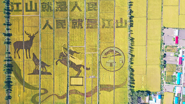 650fa782a310d2dc6d286869_副本.jpg