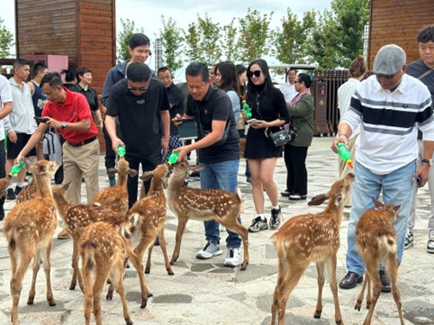 图片6.jpg