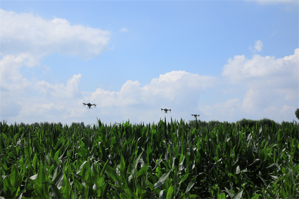 四平-news-Black soil protection, tech boost ecology, production in NE China's Jilin-5.jpeg