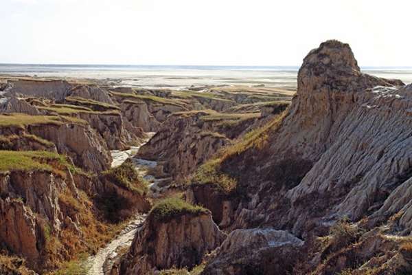 Qian’an Mud Forest National Geological Park_副本.jpg